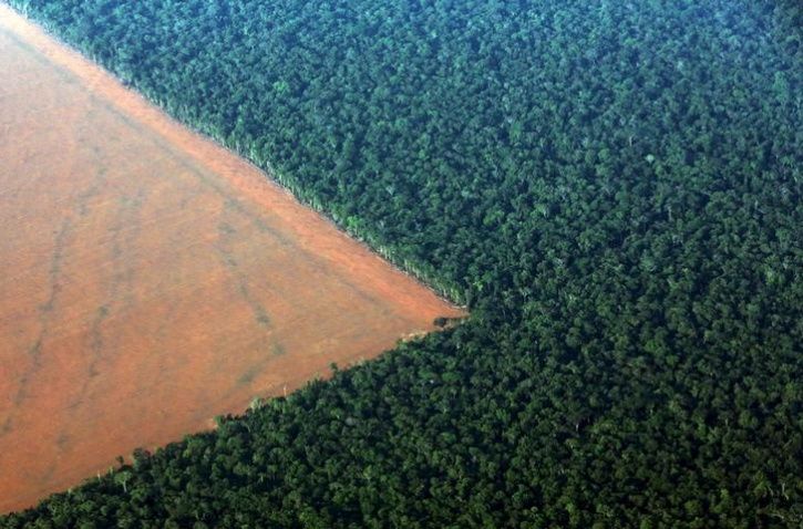 Mais de 500 km foram desmatados em MT nos últimos seis meses PP