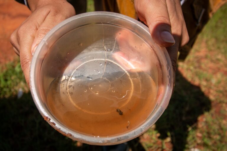 Dengue Tipo Volta A Circular No Brasil Anos Ap S Epidemia