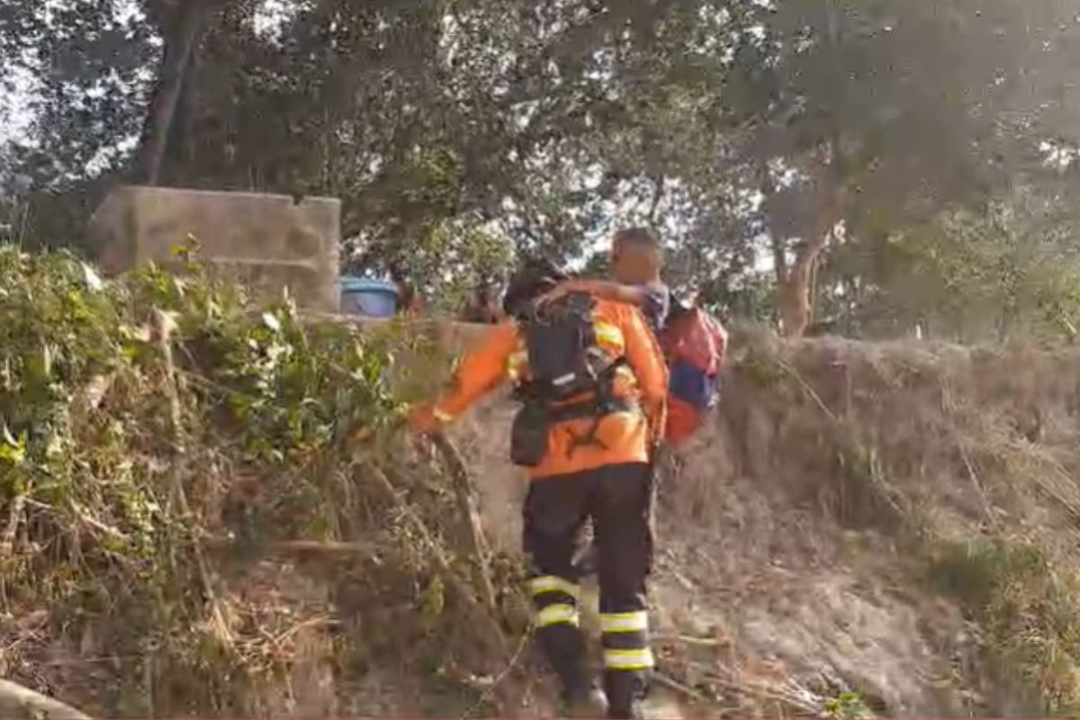 Campanha arrecada doações para afetados pelo fogo no Pantanal de MS