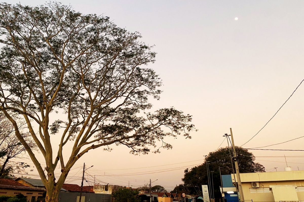 Calor de 40ºC fritará MS antes da chegada de nova frente fria