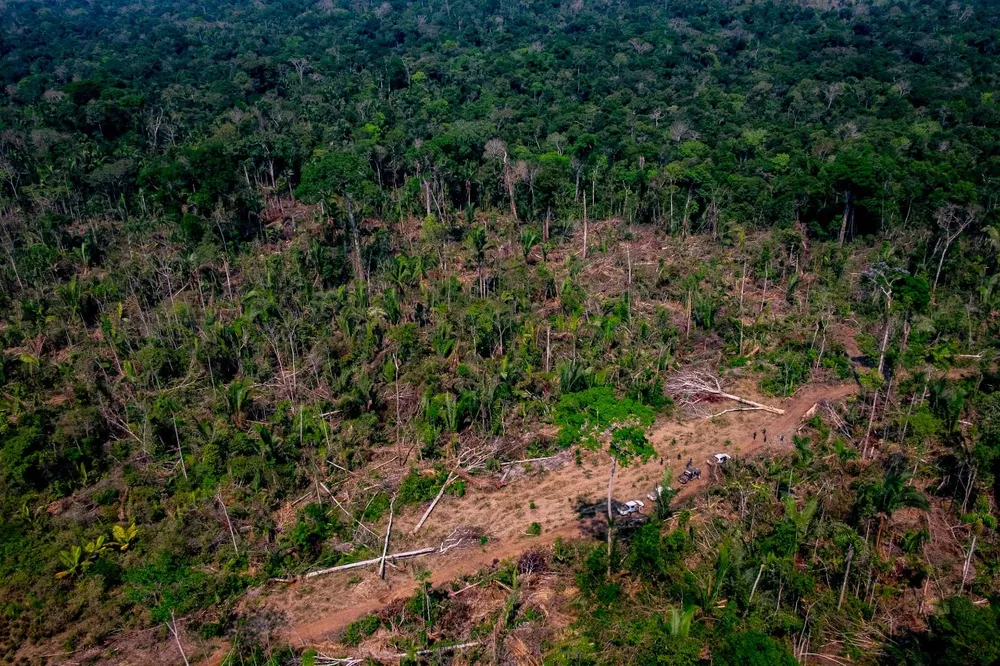 Mato Grosso ocupa o 5º lugar entre os estados que mais desmataram o Cerrado. (Foto: Marcos Vergueiro/Secom-MT)