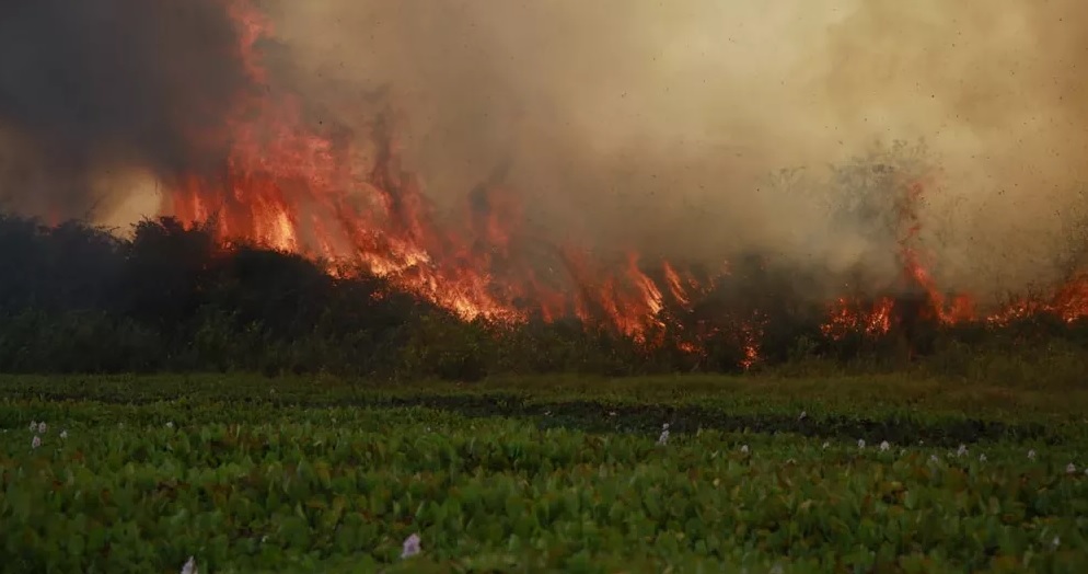 Clima seco seria um dos principais fatores para a suspensão. (Foto: Divulgação).