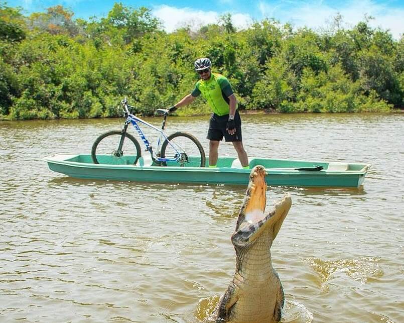 Artesão pantanal