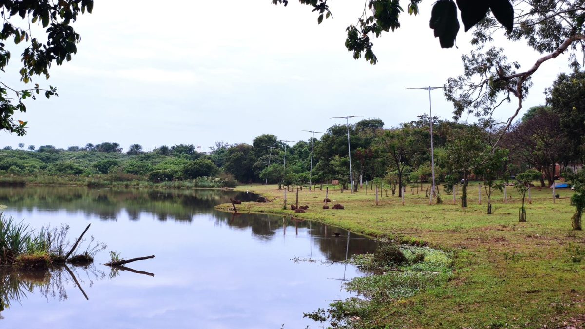 Domingo amanhece garoando e previsão é de frio e mais chuva - Cidades -  Campo Grande News