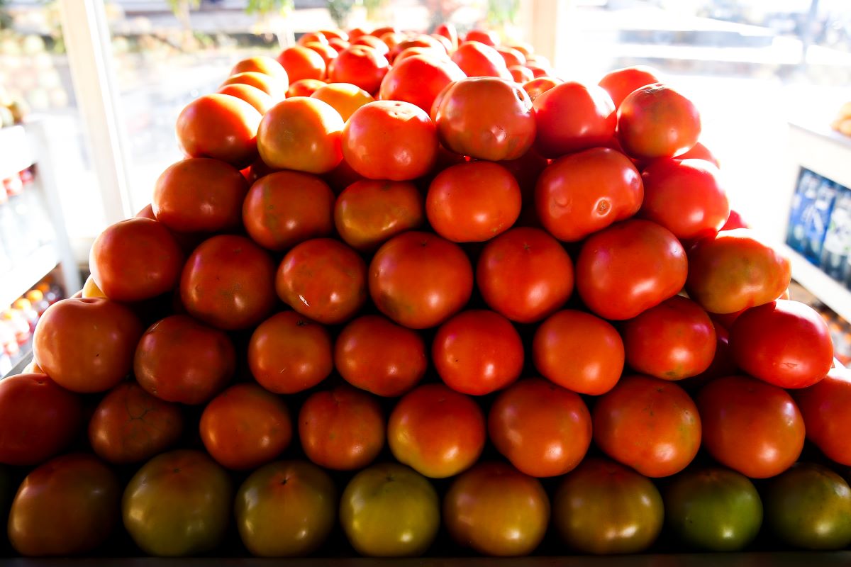 Alta do tomate contribuiu pra aumento no preo da cesta bsica