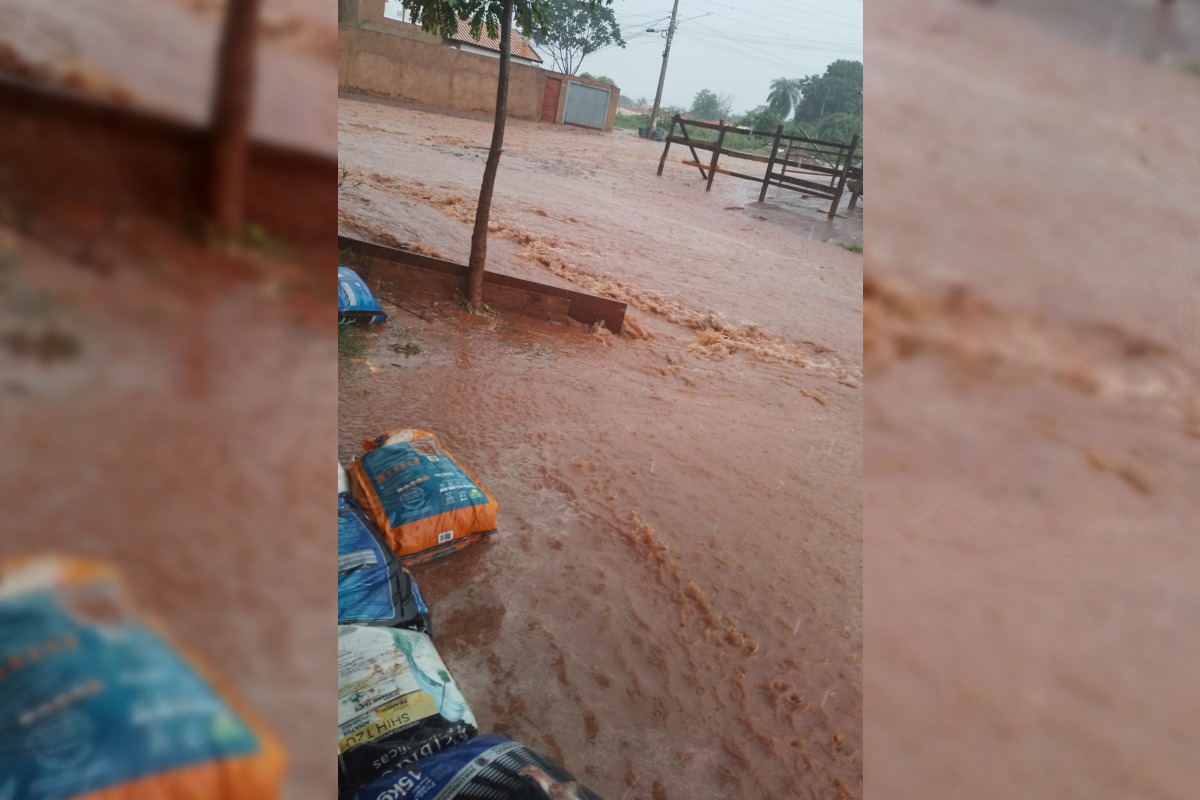 Chuva Alaga Ruas De Campo Grande E Causa Transtorno Na Véspera De Natal