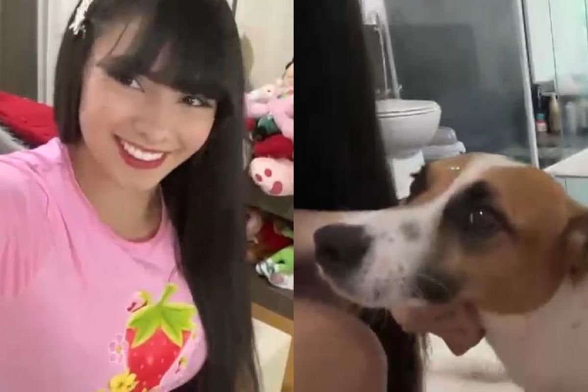 Cachorro que tinha dona em MS vai parar nos braços de Juliana Bonde