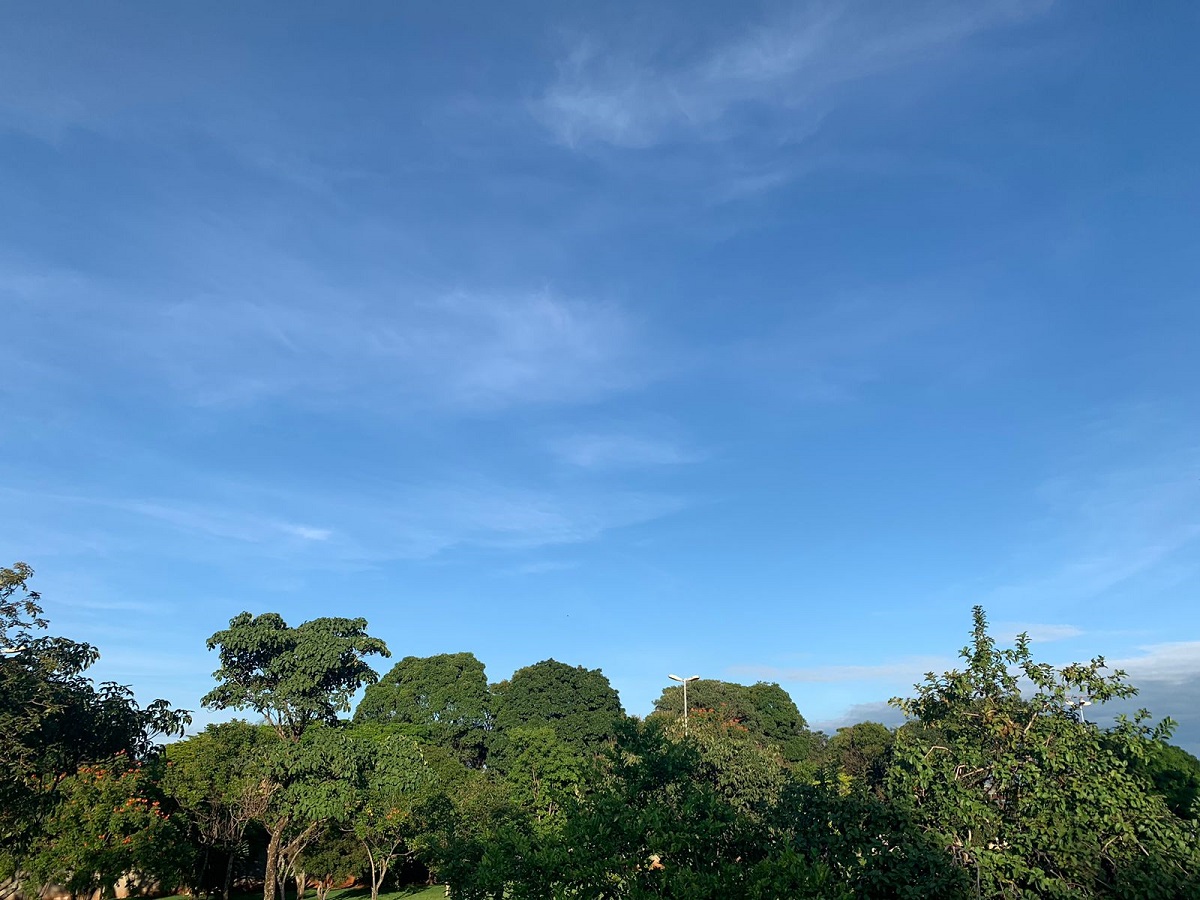 Terça-feira amanhece garoando e previsão é de chuva para todo Estado - A  Crítica de Campo Grande