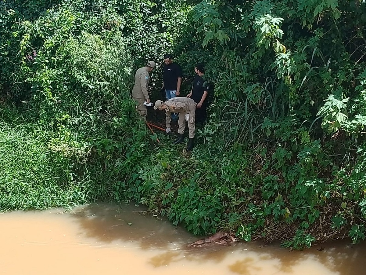 Corpo De Mulher é Encontrado Em Córrego Na Br 376