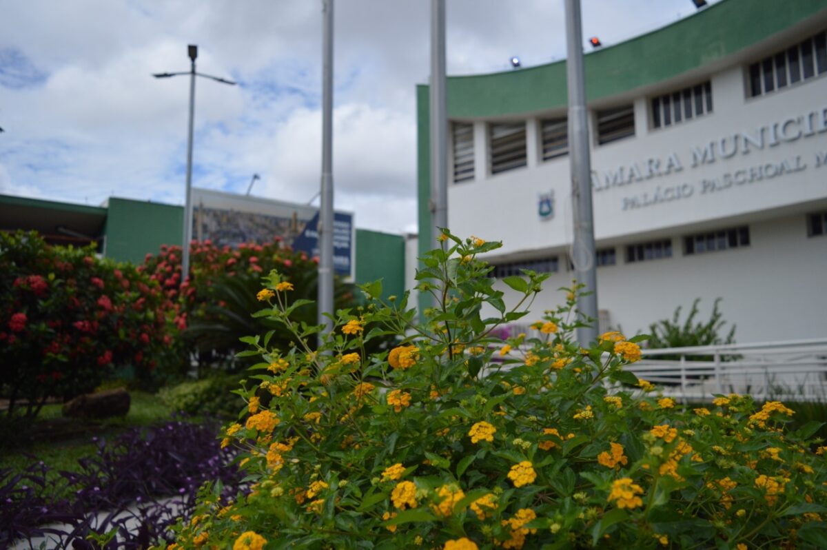 Câmara Municipal de Cuiabá define formação das comissões permanentes. (Foto: Secom/Câmara)