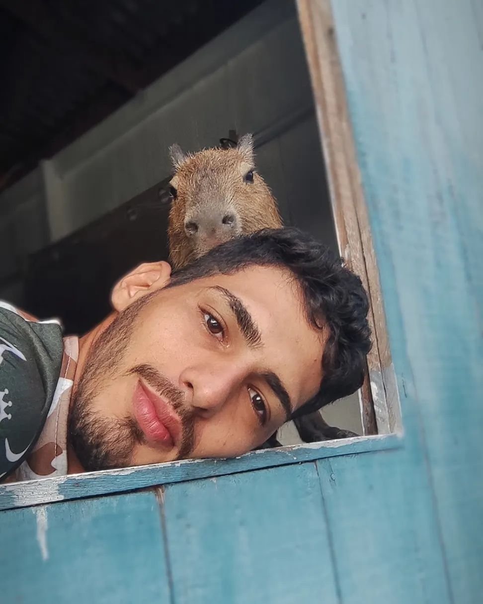Capivara melhor que o canguru? 😂 Torcida do Brasil rouba a cena