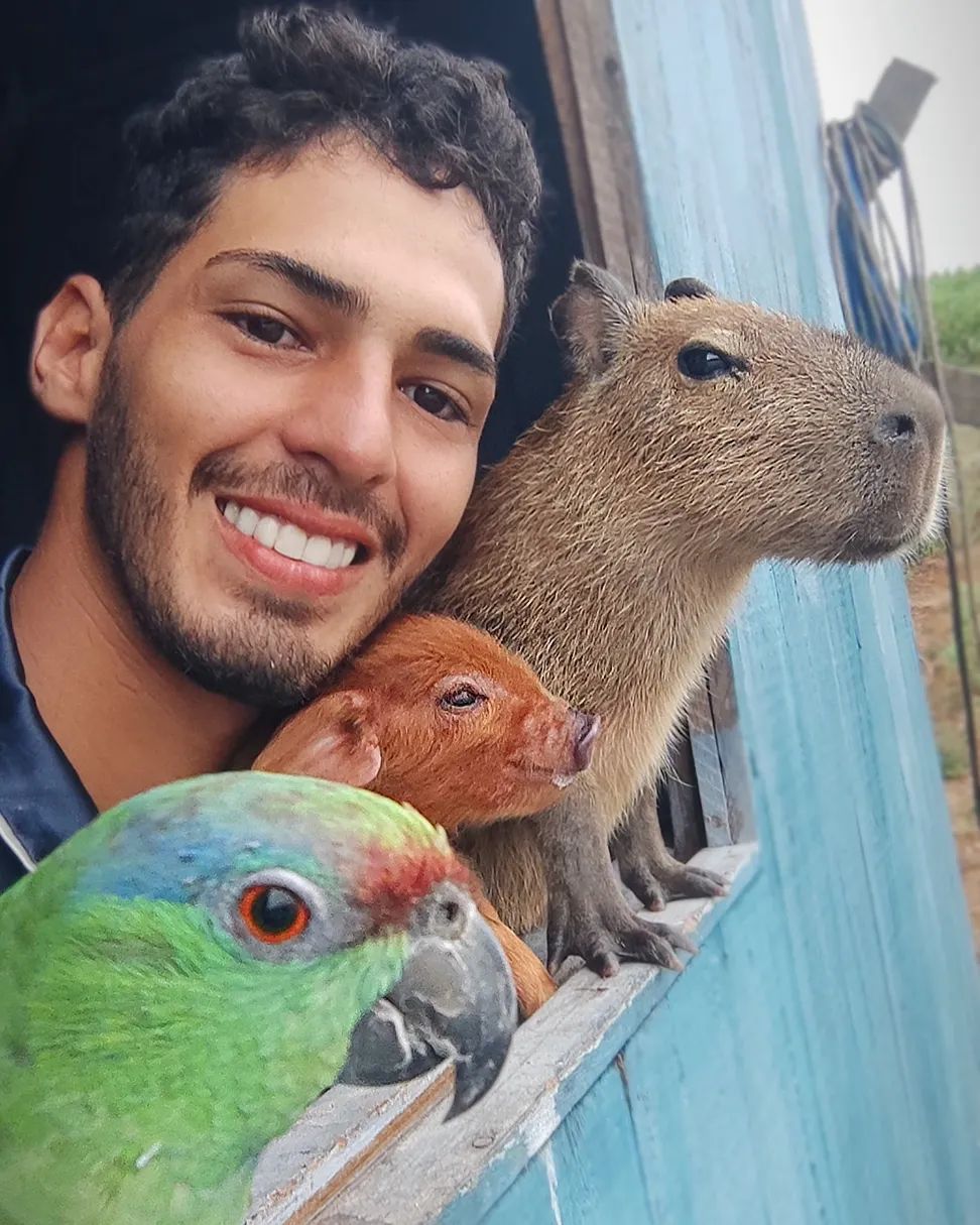 Uma capivarinha do amor pra dize  Capivara, Capivaras, Animais brasileiros