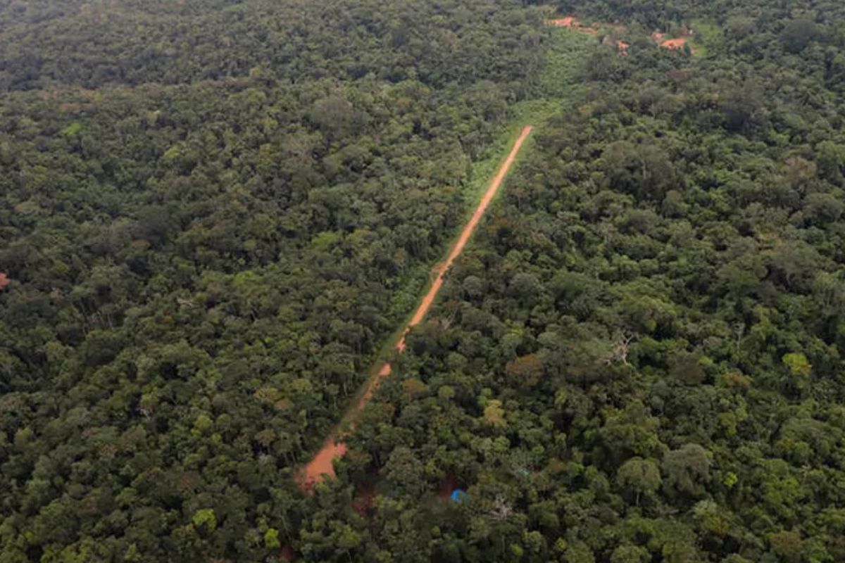 Meio ambiente, nossa bomba atômica