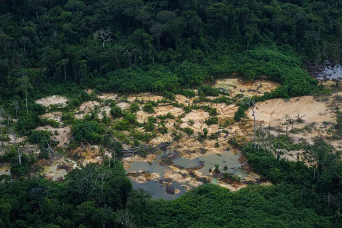 Garimpo ilegal na Terra Indígena Yanomami.