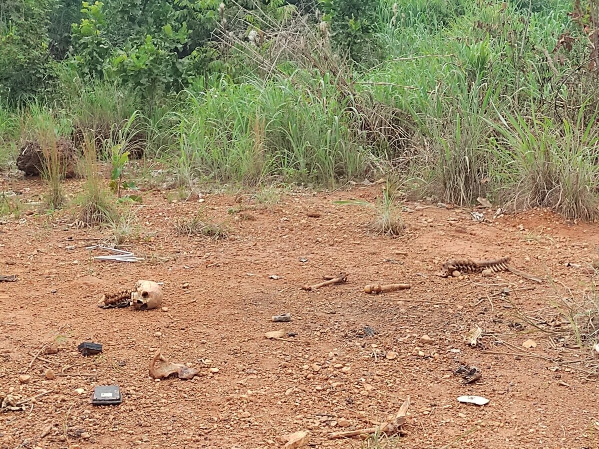 Ossada Humana é Encontrada Perto Do Lixão De Cuiabá