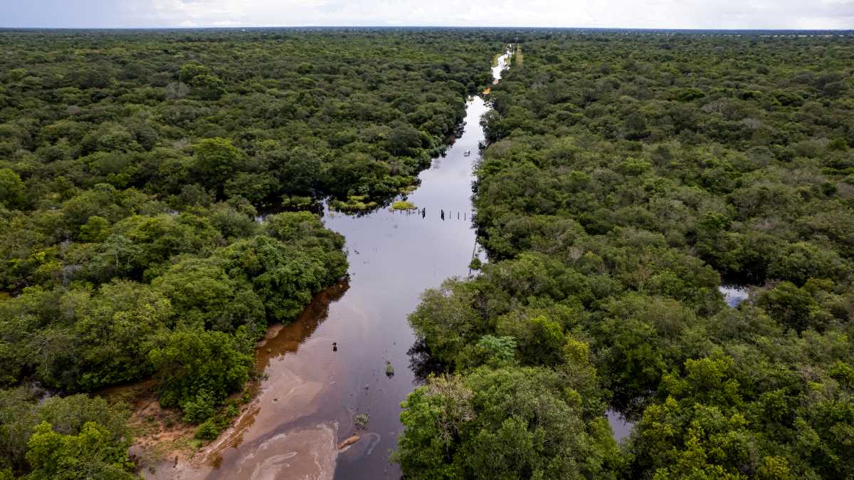 Cheia no Pantanal da Nhecolândia, em Corumbá