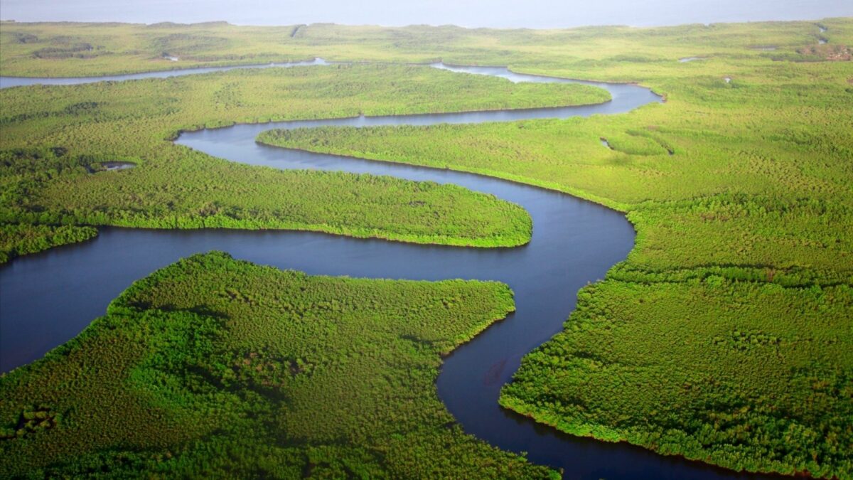 Encontro discute preservação do pantanal