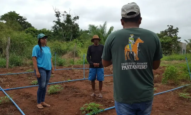 agrofloresta com manutencao na comunidade guato 2