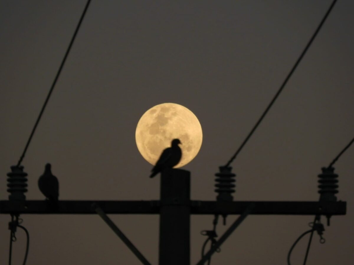 Segunda-feira começou com superlua e previsão é de tempo seco para MS (Foto: Wilmar Carrilho)