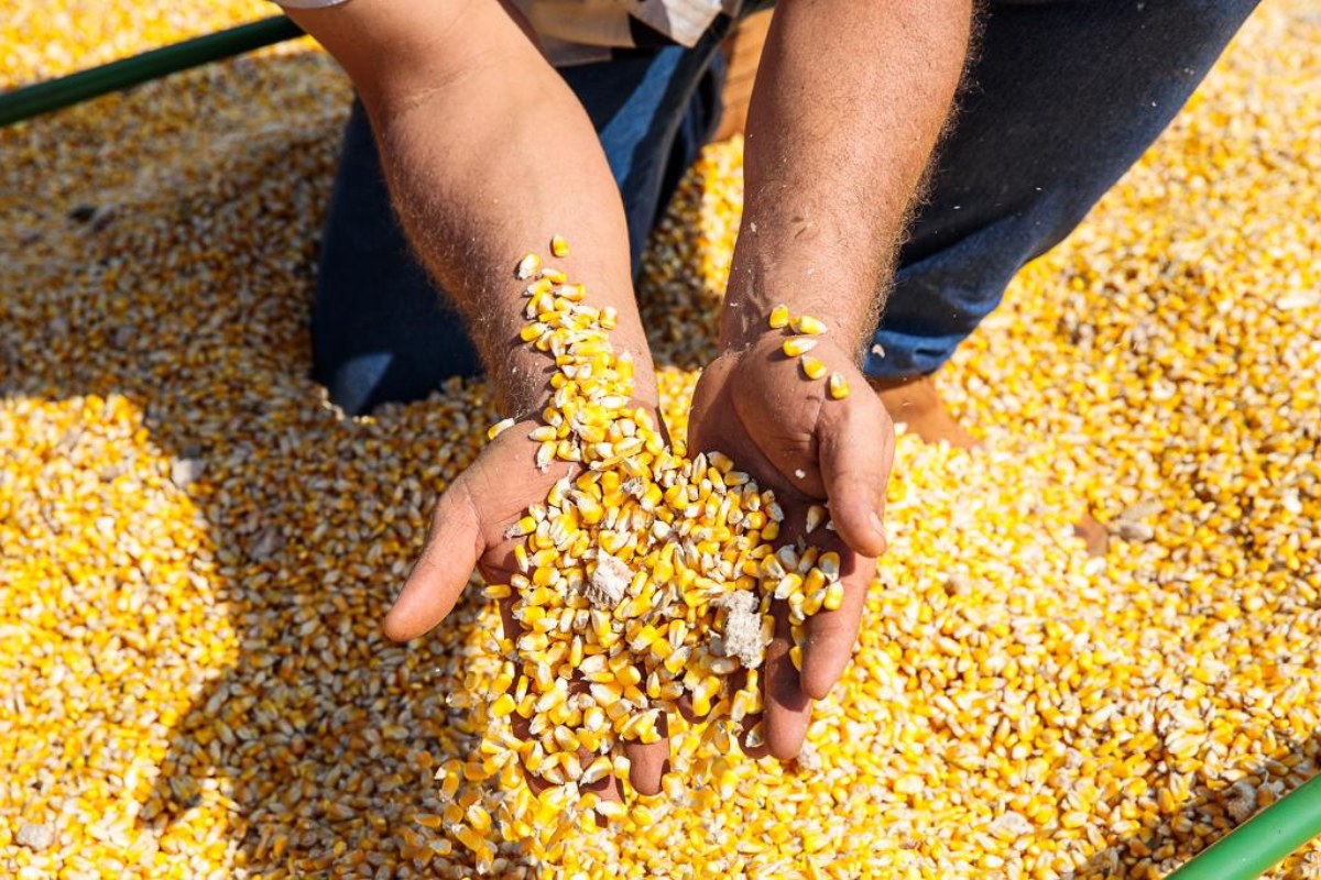 Grãos e carne produzidos em Mato Grosso são consumidos por 3,5% da população mundial. (Foto Secom-MT)