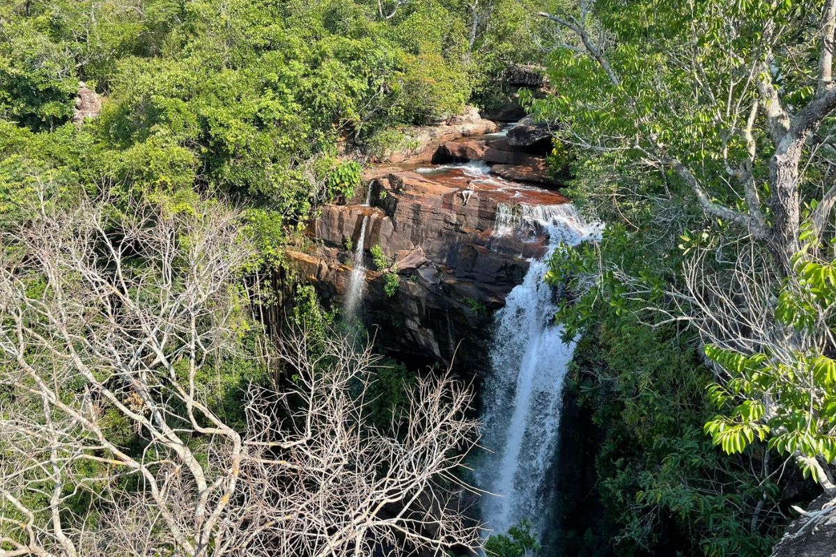 Lista De A Fazenda 2023 - Rádio Cachoeira