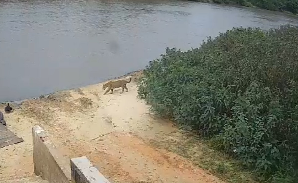 Passeando Em Corumbá