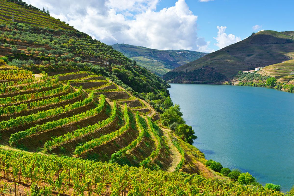 Vinícolas na região do Douro, em Portugal. (Foto: Portugal By Wine/Reprodução)