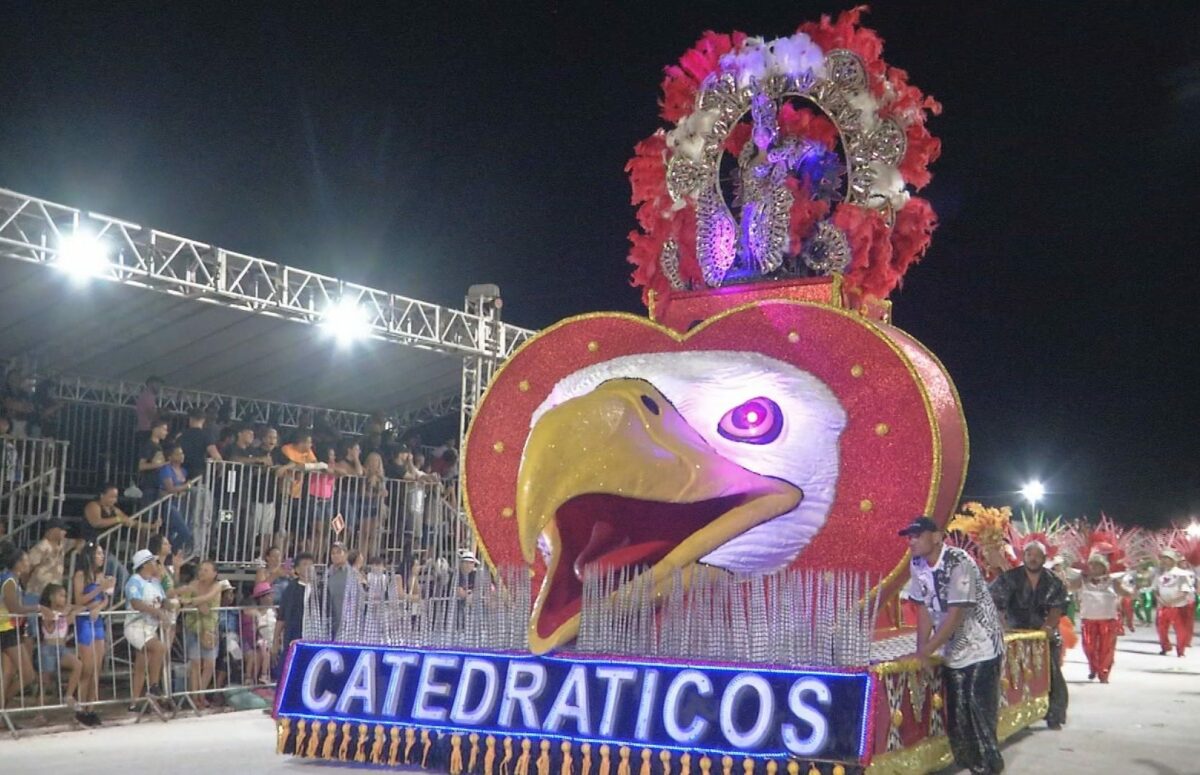 Um dos carros da Catedráticos do Samba (Foto: David Melo)