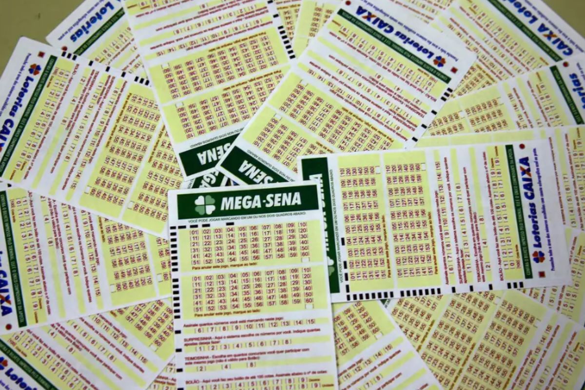 Cartelas da Mega-Sena (Foto: Divulgao)