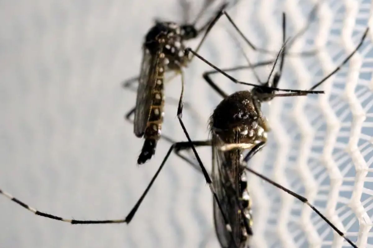 Primeira morte por chikungunya foi confirmada em Tangar da Serra. (Foto: Paulo Whitaker/Reuters)