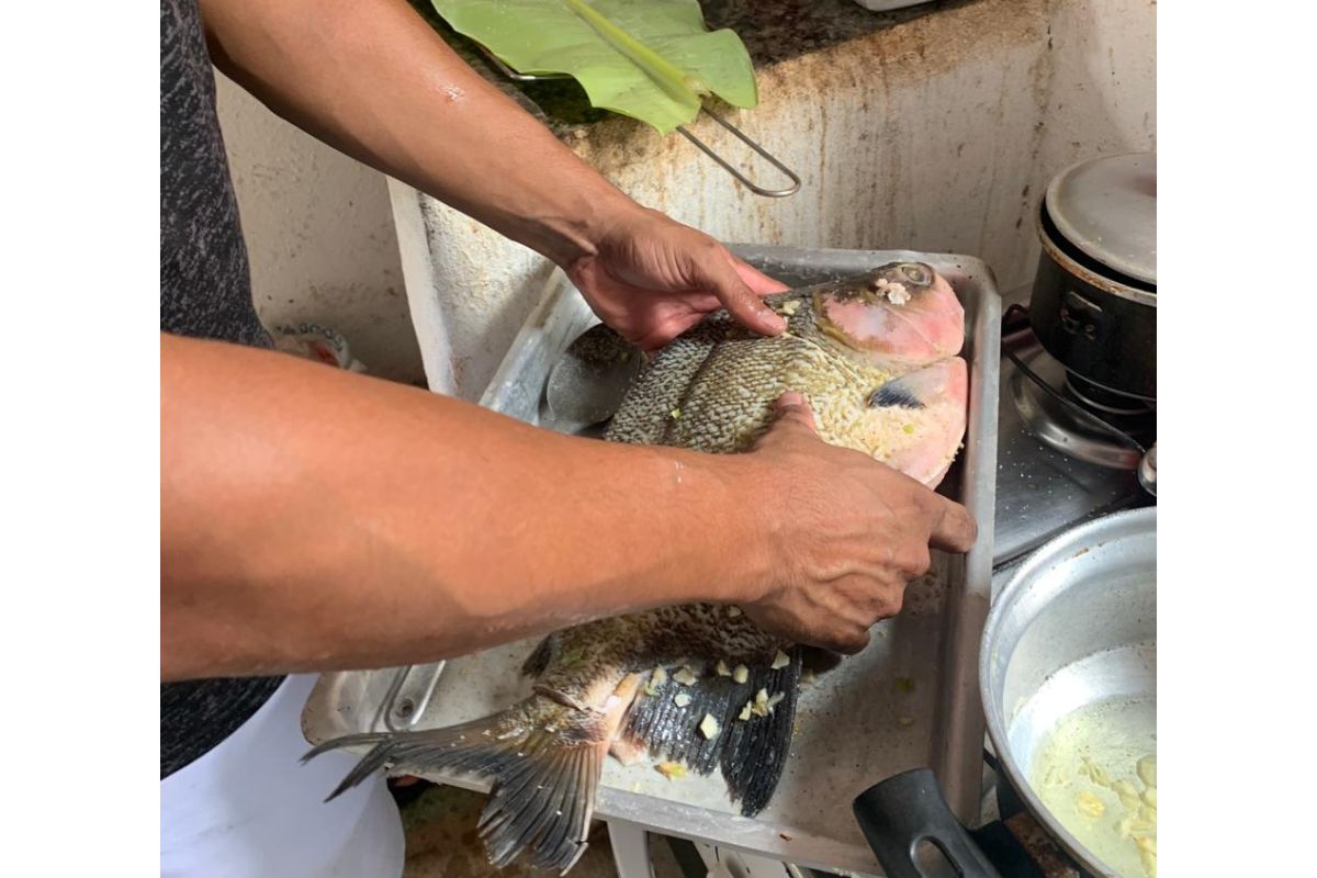 Na imagem Krisman tempera o peixe antes de levá-lo ao forno. Veja como prepará-lo. (Foto: Reprodução)