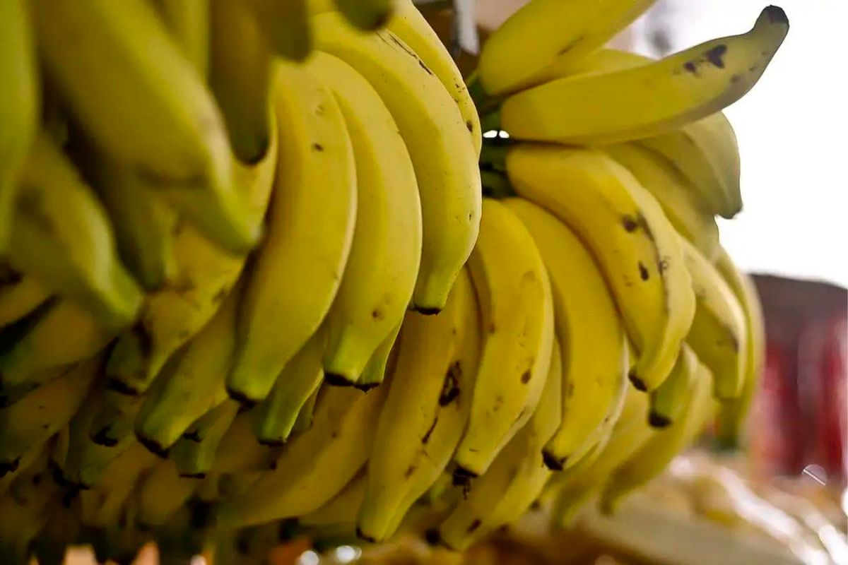 Foto banana cesta basica