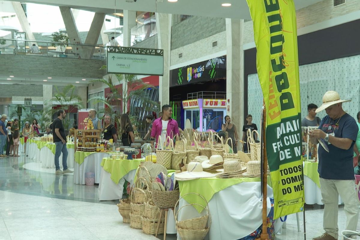 Edição especial da Feira Bosque da Paz em shopping de Campo Grande (Foto: Ariovaldo Dantas)