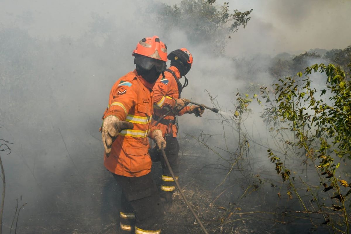 Fogo no Pantanal