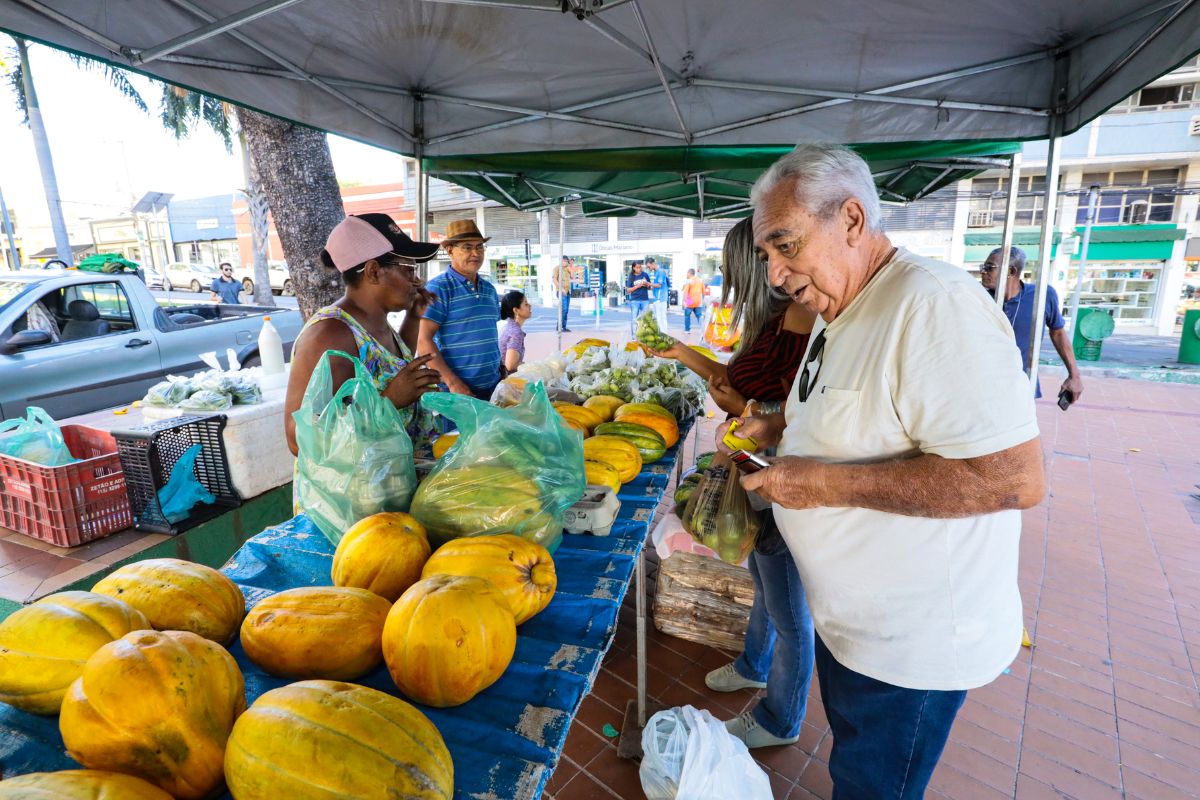 Feira de Agricultura Familiar ter diversos produtos orgnicos, nesta semana em Cuiab. (Foto: Davi Valle)