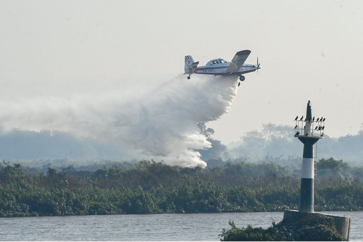 Fogo Pantanal