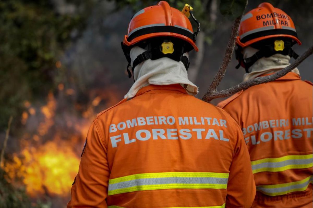 Imagem mostra bombeiros combatendo fogo