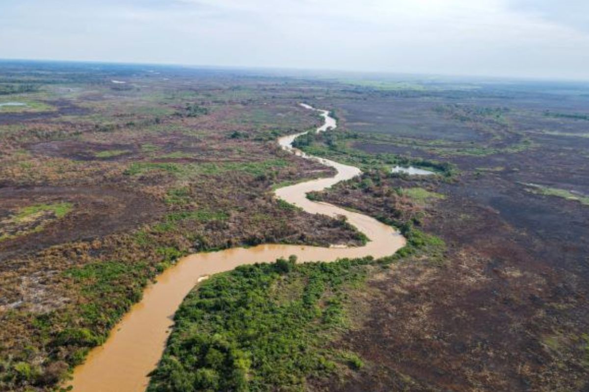 Seca no Pantanal