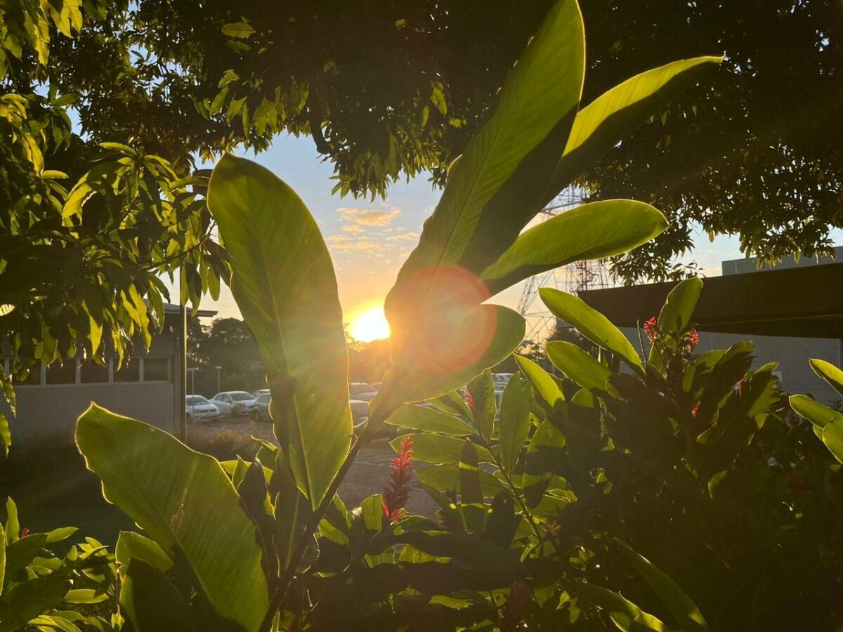 Sol forte em Campo Grande, neste início de semana; ele promete predominar no Dia dos Namorados (Foto: Liniker Ribeiro)