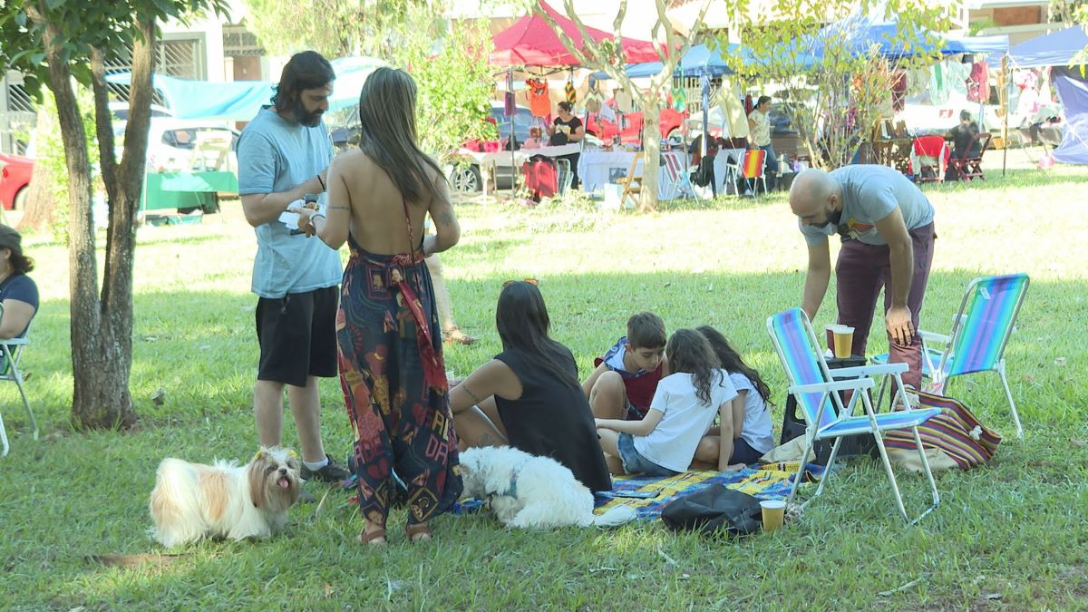 Feira Borogodó