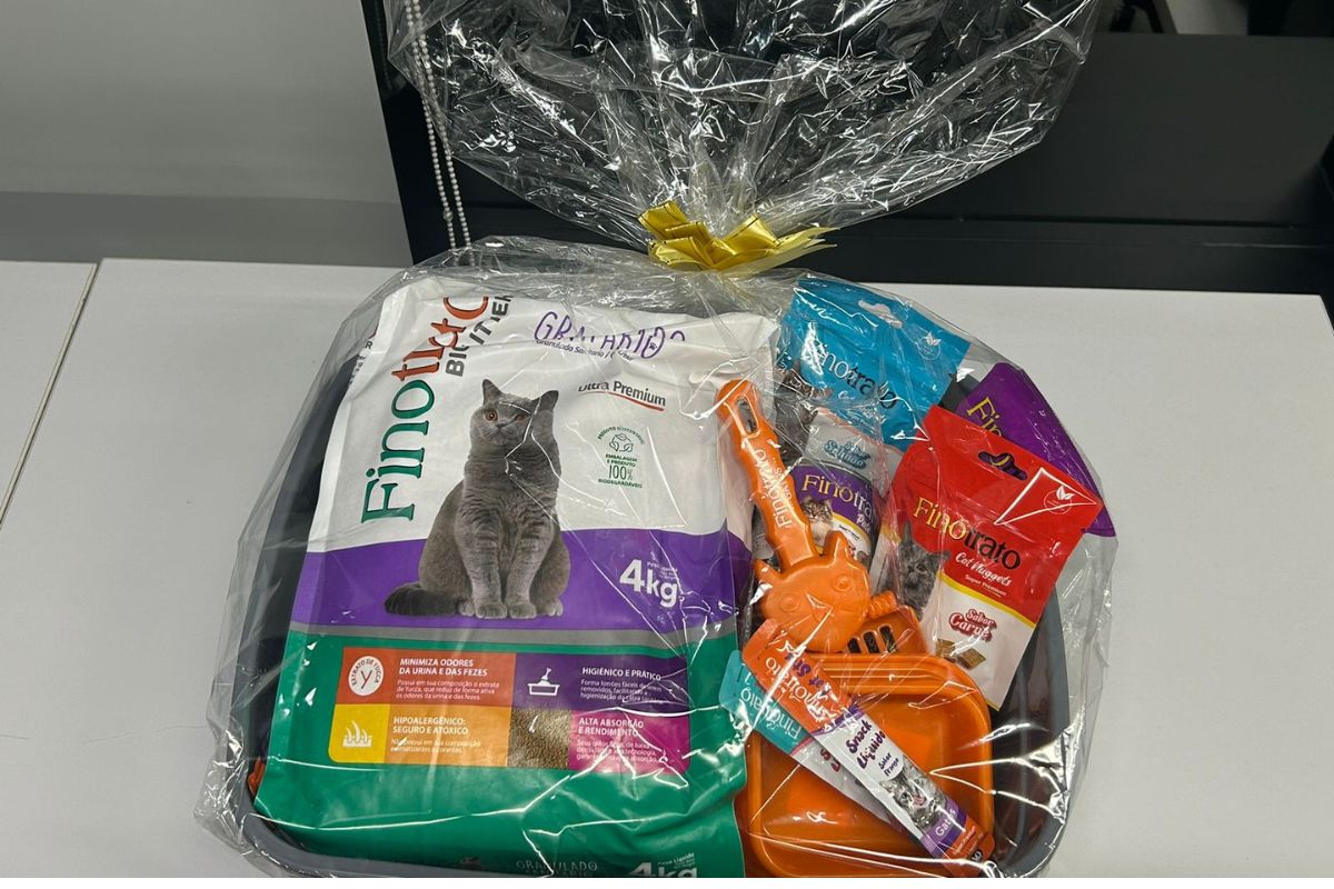 O kit para seu gato (Foto: Primeira Página) 