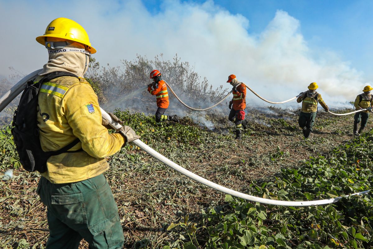 Foto bombeiros