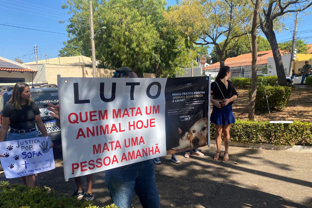 Foto protesto gato Cuiaba 3