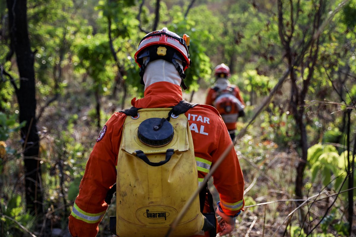 bombeiros combate incendios