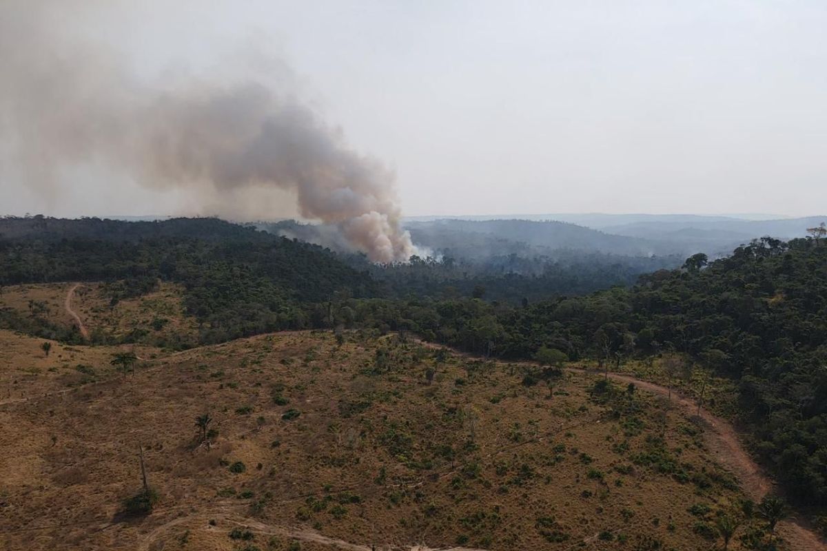 incendio aripuana 3