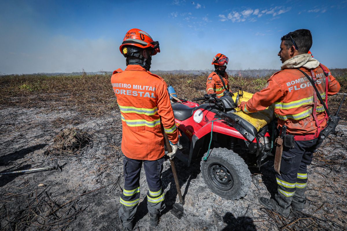 Combate a incêndios no Pantanal 62 2