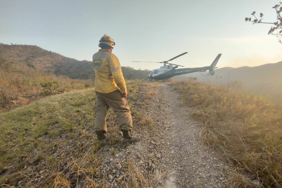 21 profissionais atuam no combate às chamas em duas regiões de Chapada. (Foto: ICMBio)