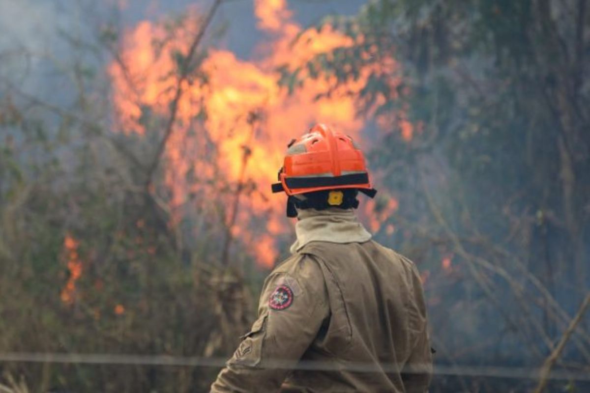 bombeiros