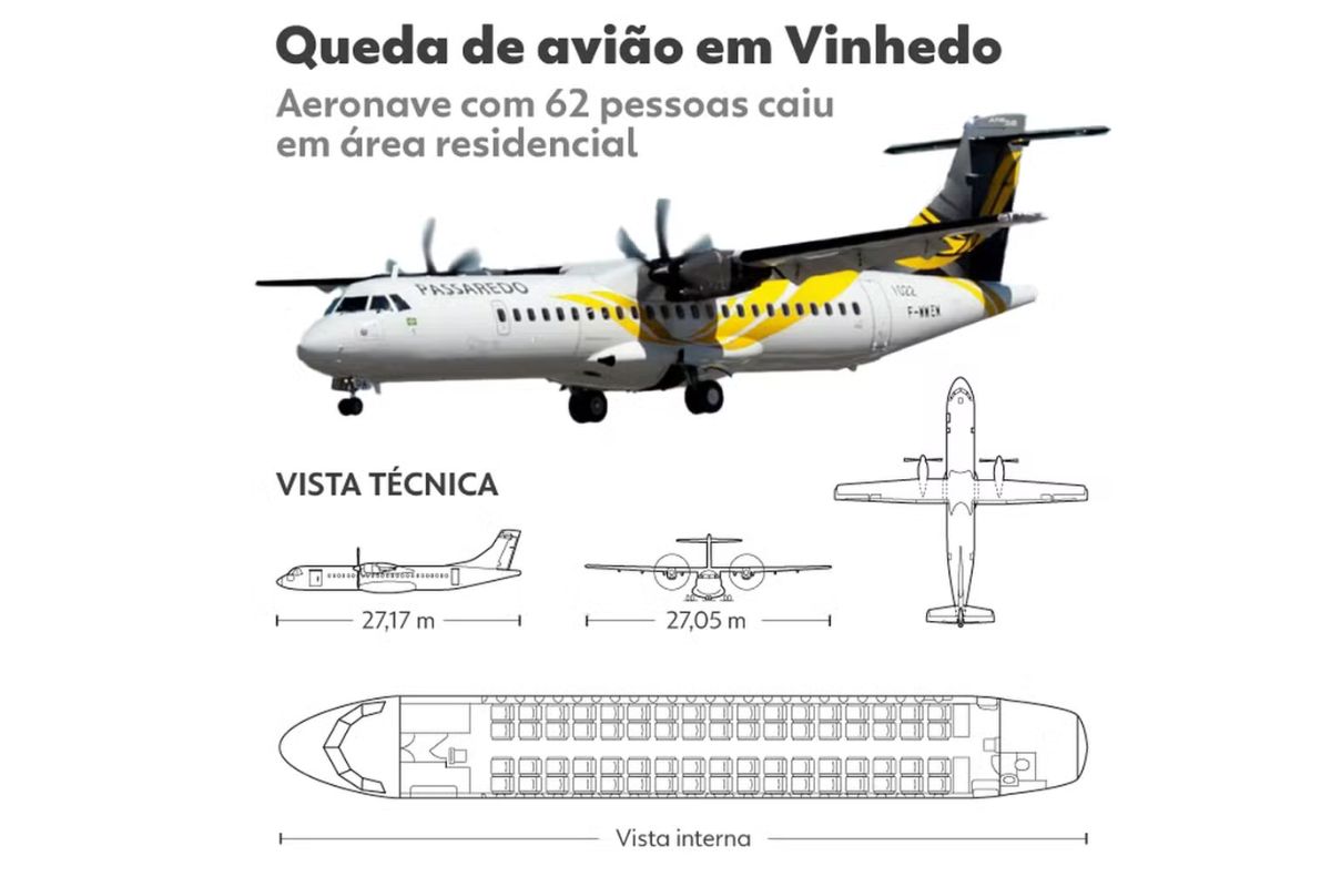 modelo do aviao queda vinhedo