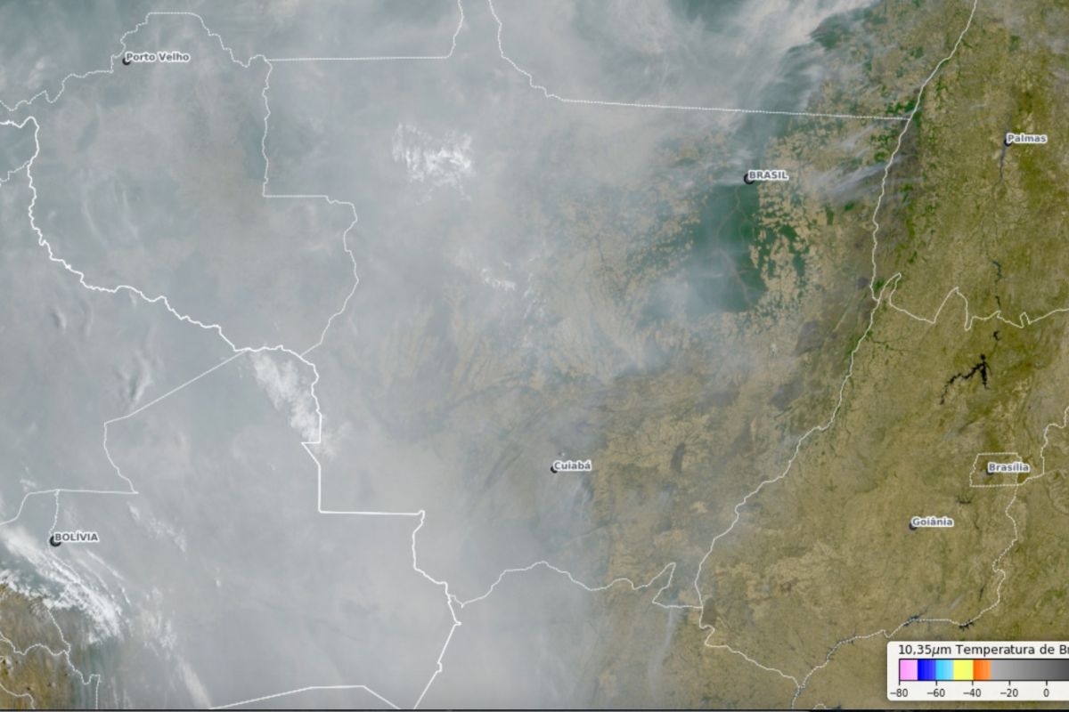 Mapa mostra a fumaça cobrindo o estado de Mato Grosso (Foto: Climatempo)